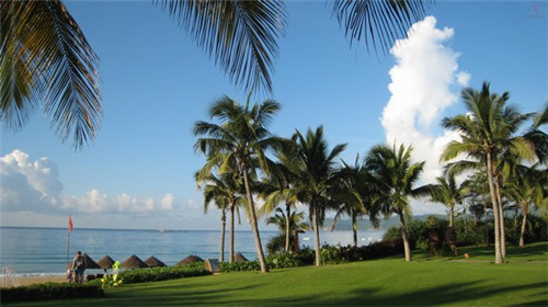 心理咨询室设备10大品牌