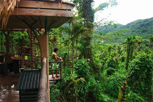 奶茶店怎么保存，奶茶店怎么保存西瓜