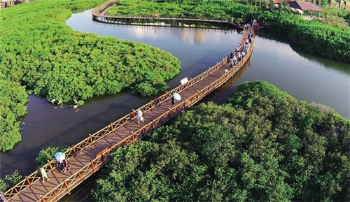 神池县开店眼镜加盟高人气品牌店推荐