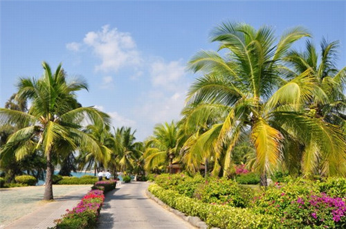 加盟酷巴奶茶在榆中县大概投资多少钱，榆中县奶茶加盟品牌哪家靠谱