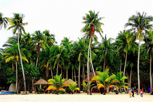 哪些合金眼镜加盟品牌值得信赖，金属合金眼镜