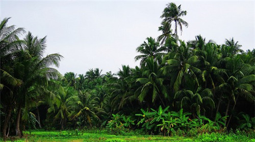 2025速干瑜伽裤连锁店网红品牌有哪些，瑜伽裤品牌推荐