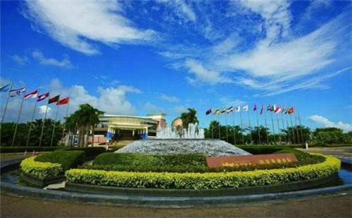 魔力柠檬加盟开店怎么样，奶茶开店创业什么品牌适合新手