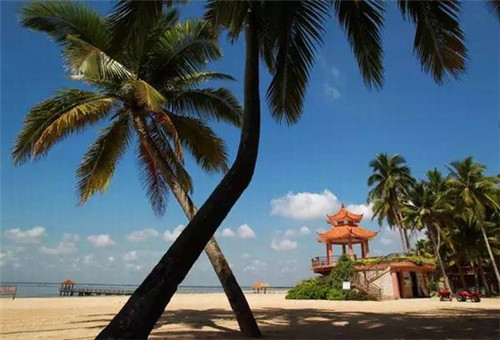 轻食加盟投资开店哪家项目利润高