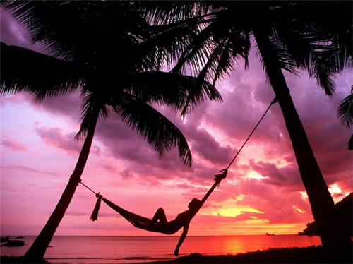 生命中会刮风吗是什么歌（生命中的风）