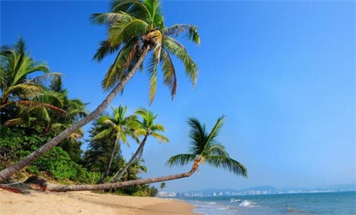 滑雪哪里好玩哈尔滨（哈尔滨在哪滑雪）