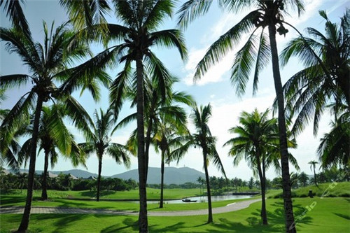 玩网页游戏用什么电脑好（要玩网页游戏）